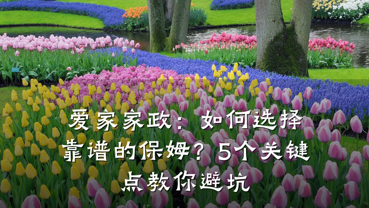 爱家家政：如何选择靠谱的保姆？5个关键点教你避坑