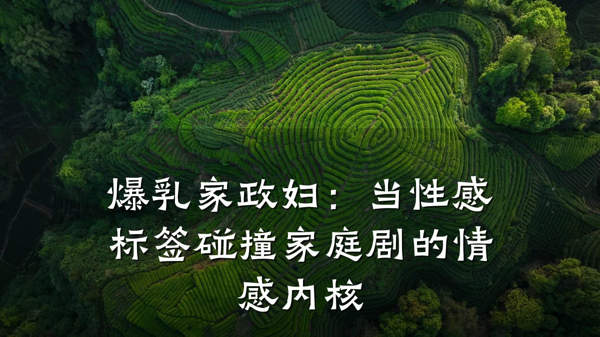 爆乳家政妇：当性感标签碰撞家庭剧的情感内核