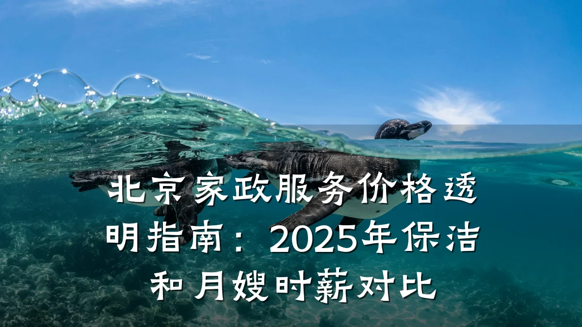 北京家政服务价格透明指南:2025年保洁和月嫂时薪对比