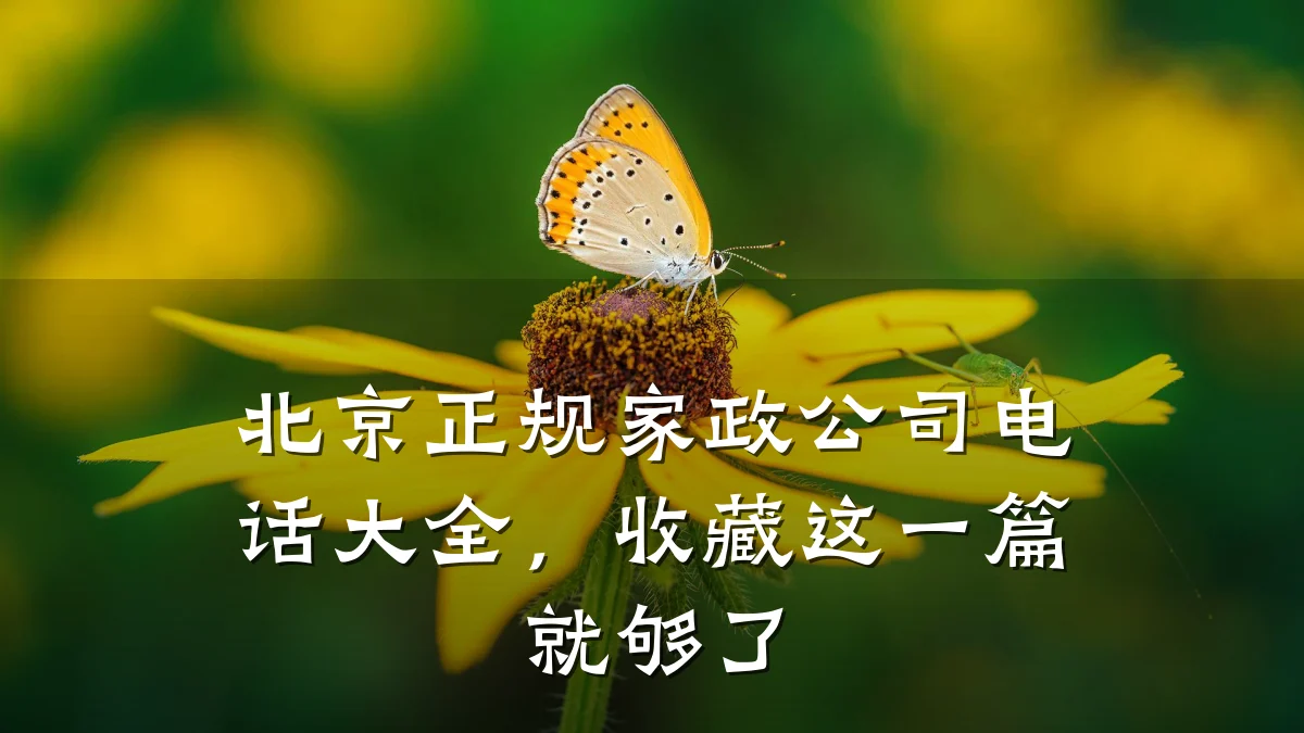 北京正规家政公司电话大全,收藏这一篇就够了