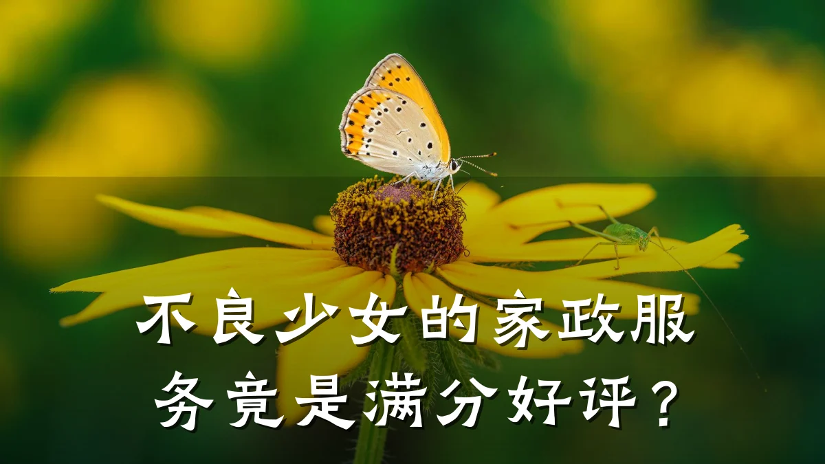 不良少女的家政服务竟是满分好评？