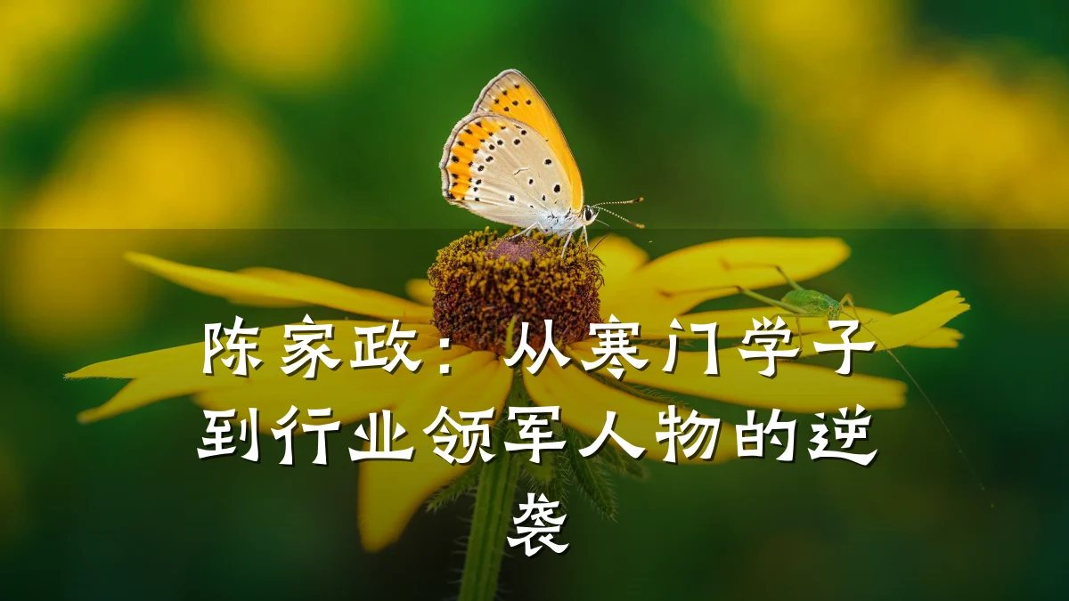 陈家政:从寒门学子到行业领军人物的逆袭