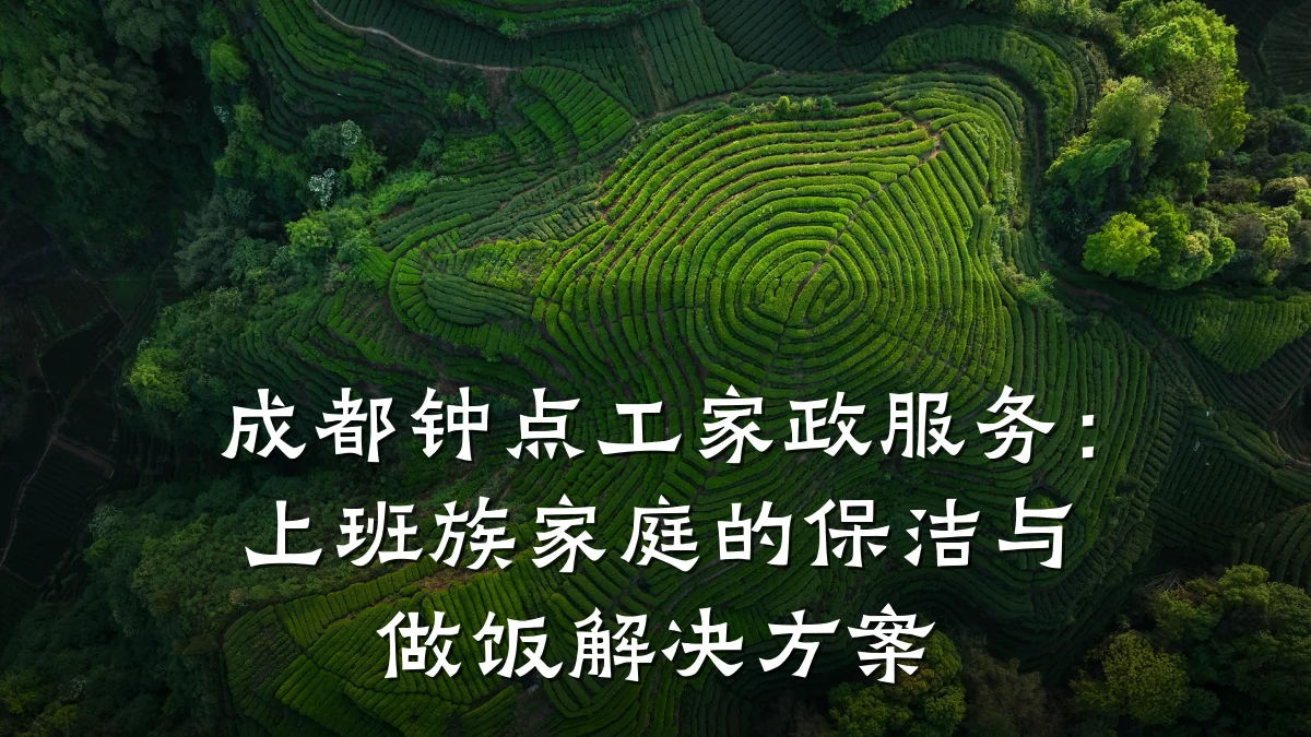 成都钟点工家政服务:上班族家庭的保洁与做饭解决方案