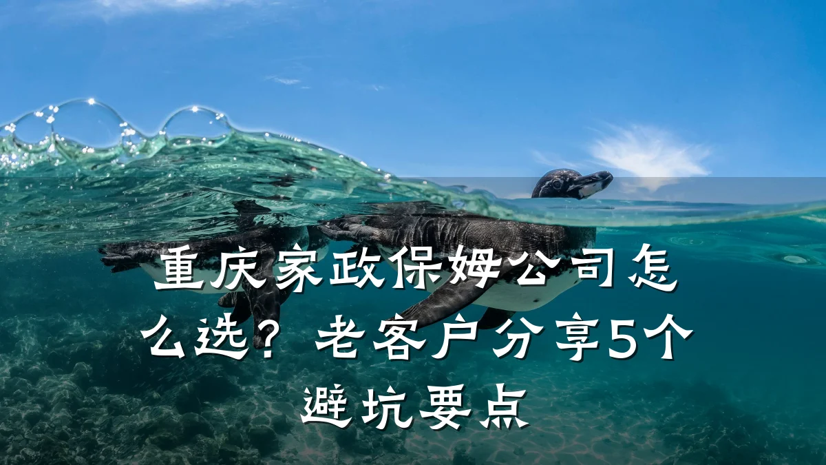 重庆家政保姆公司怎么选?老客户分享5个避坑要点