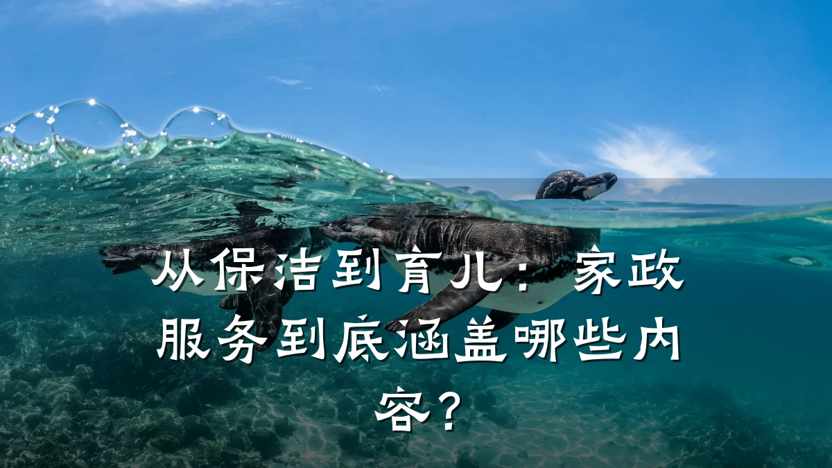 从保洁到育儿:家政服务到底涵盖哪些内容?