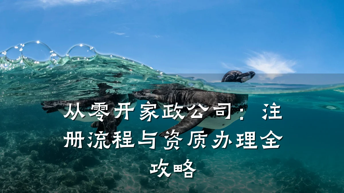 从零开家政公司:注册流程与资质办理全攻略