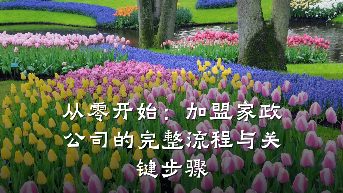 从零开始：加盟家政公司的完整流程与关键步骤