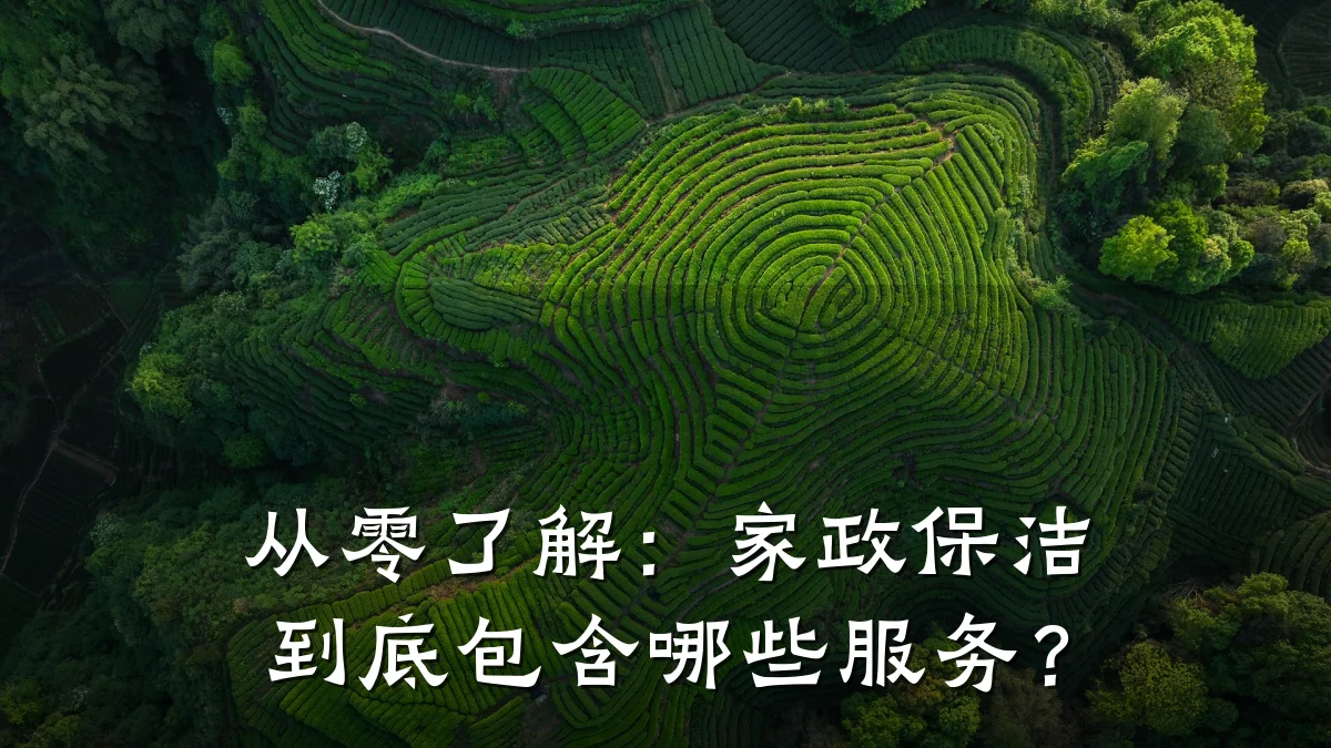 从零了解:家政保洁到底包含哪些服务?