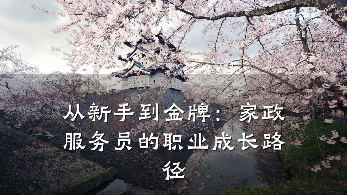 从新手到金牌:家政服务员的职业成长路径
