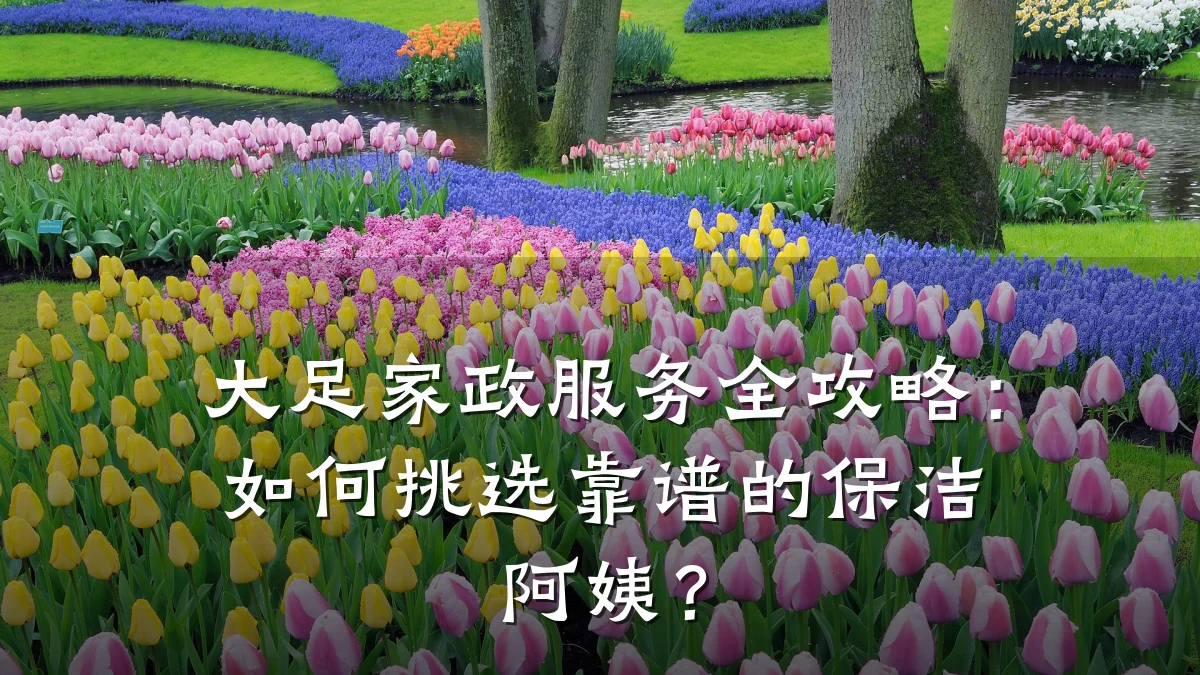 大足家政服务全攻略:如何挑选靠谱的保洁阿姨?