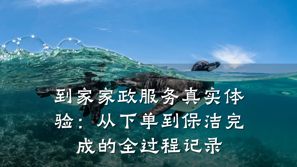到家家政服务真实体验:从下单到保洁完成的全过程记录