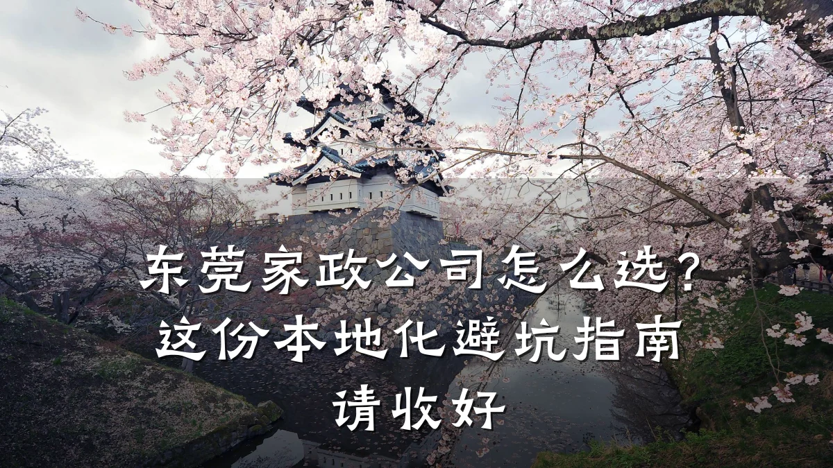 东莞家政公司怎么选？这份本地化避坑指南请收好