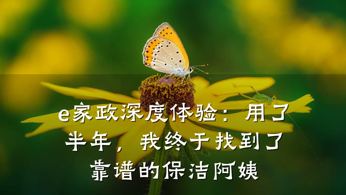 e家政深度体验：用了半年，我终于找到了靠谱的保洁阿姨