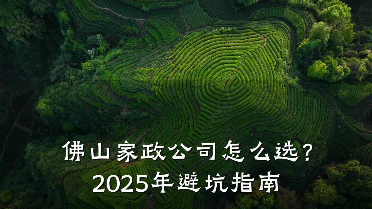 佛山家政公司怎么选?2025年避坑指南