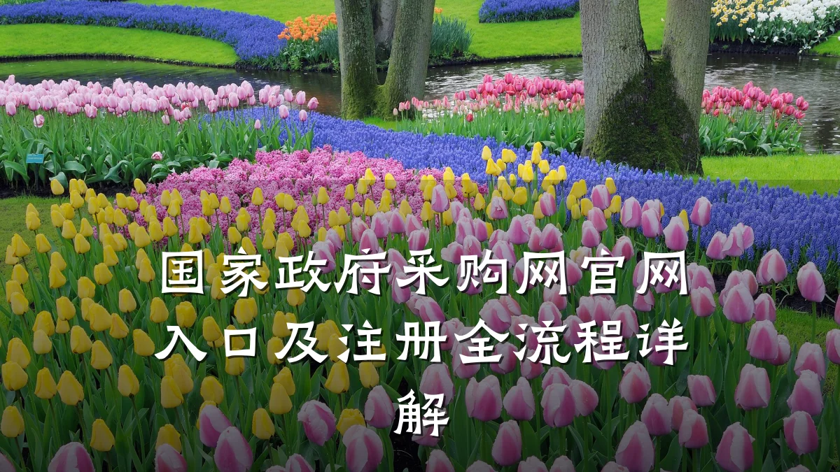 国家政府采购网官网入口及注册全流程详解