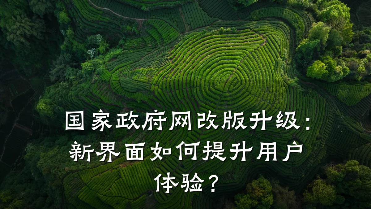 国家政府网改版升级:新界面如何提升用户体验?