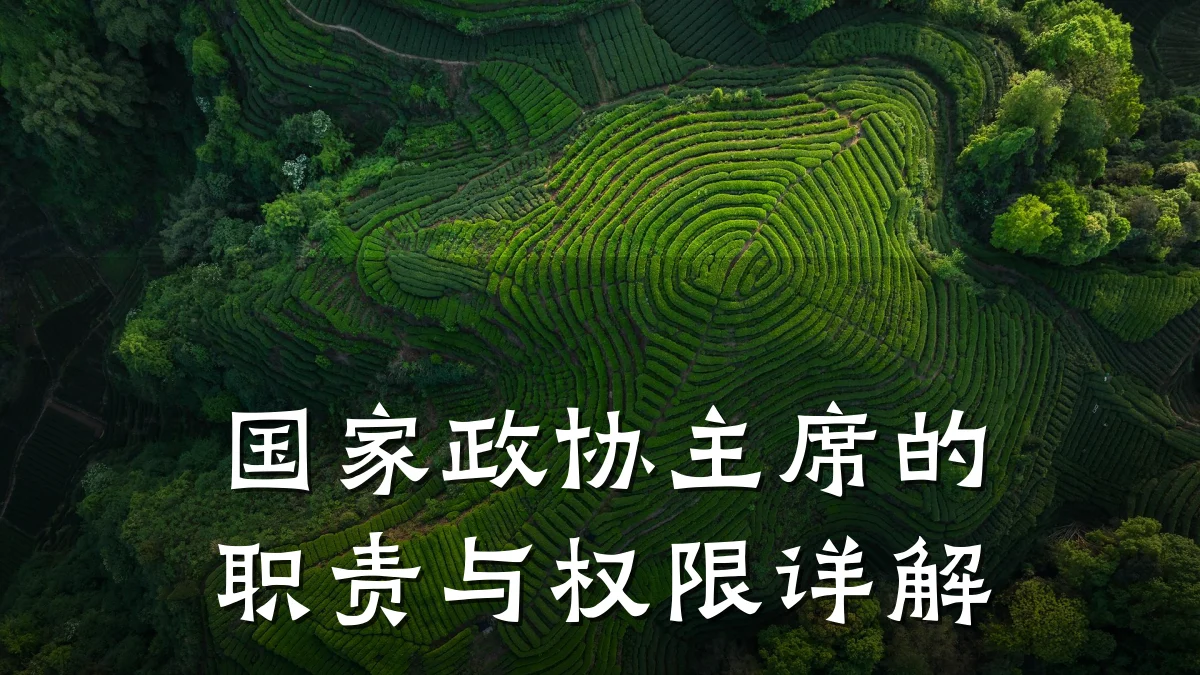 国家政协主席的职责与权限详解