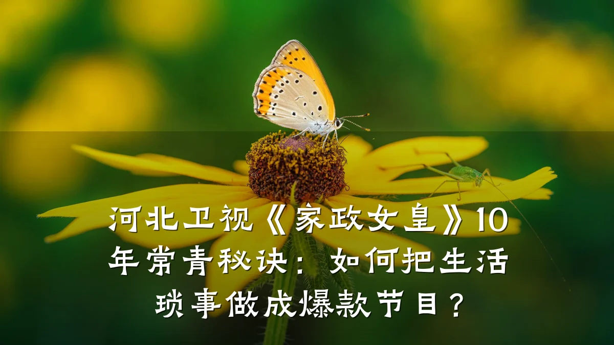 河北卫视《家政女皇》10年常青秘诀：如何把生活琐事做成爆款节目？