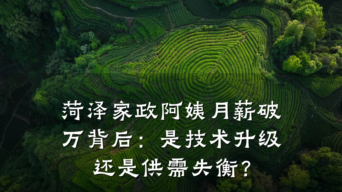 菏泽家政阿姨月薪破万背后：是技术升级还是供需失衡？
