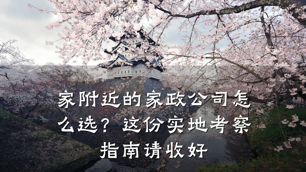 家附近的家政公司怎么选?这份实地考察指南请收好