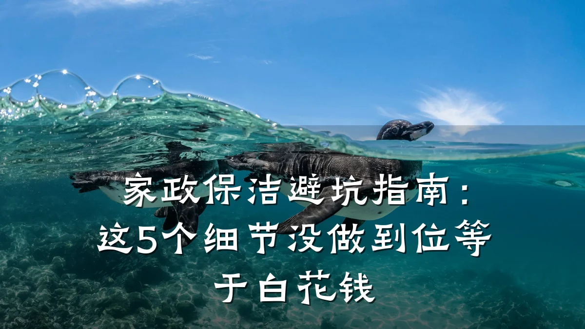 家政保洁避坑指南:这5个细节没做到位等于白花钱