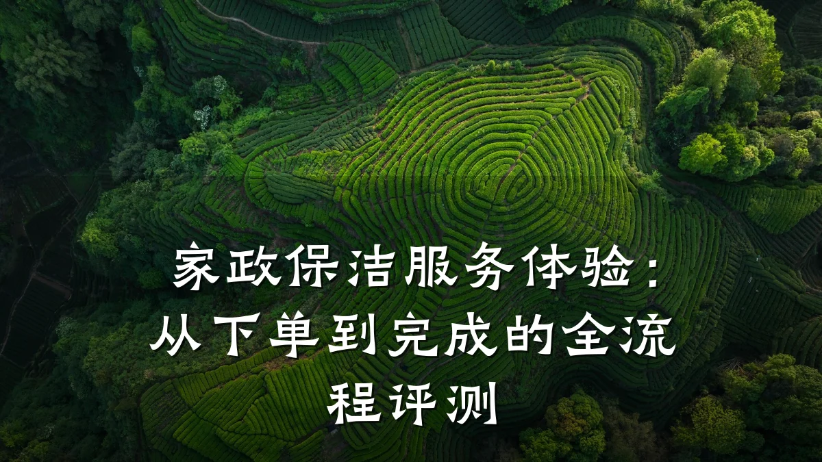家政保洁服务体验:从下单到完成的全流程评测