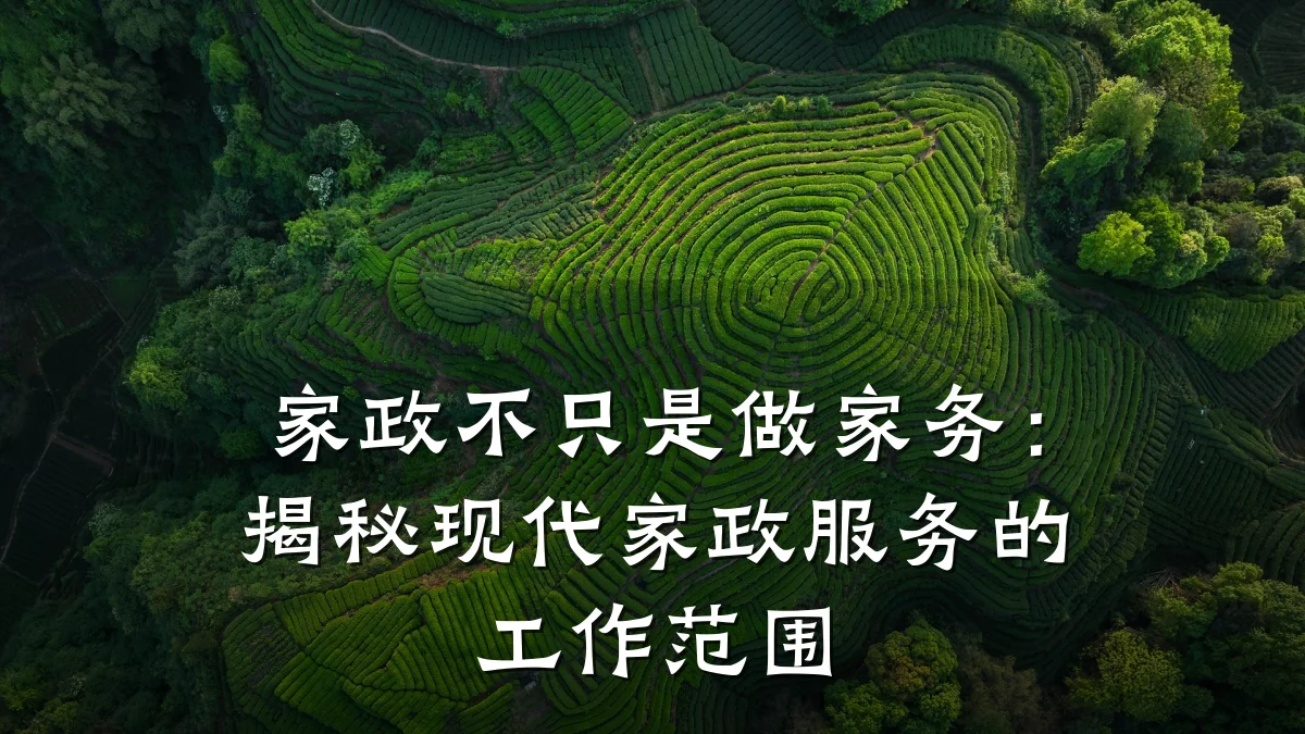 家政不只是做家务：揭秘现代家政服务的工作范围