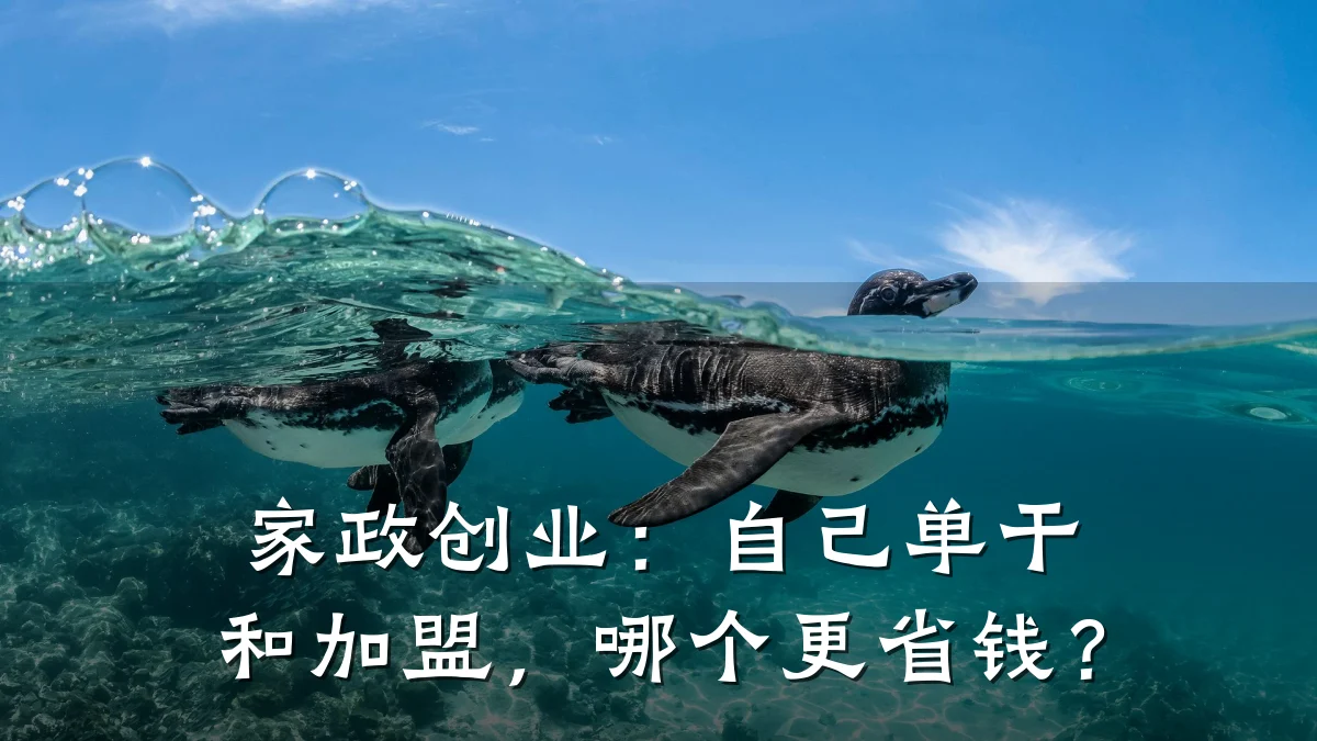 家政创业:自己单干和加盟,哪个更省钱?