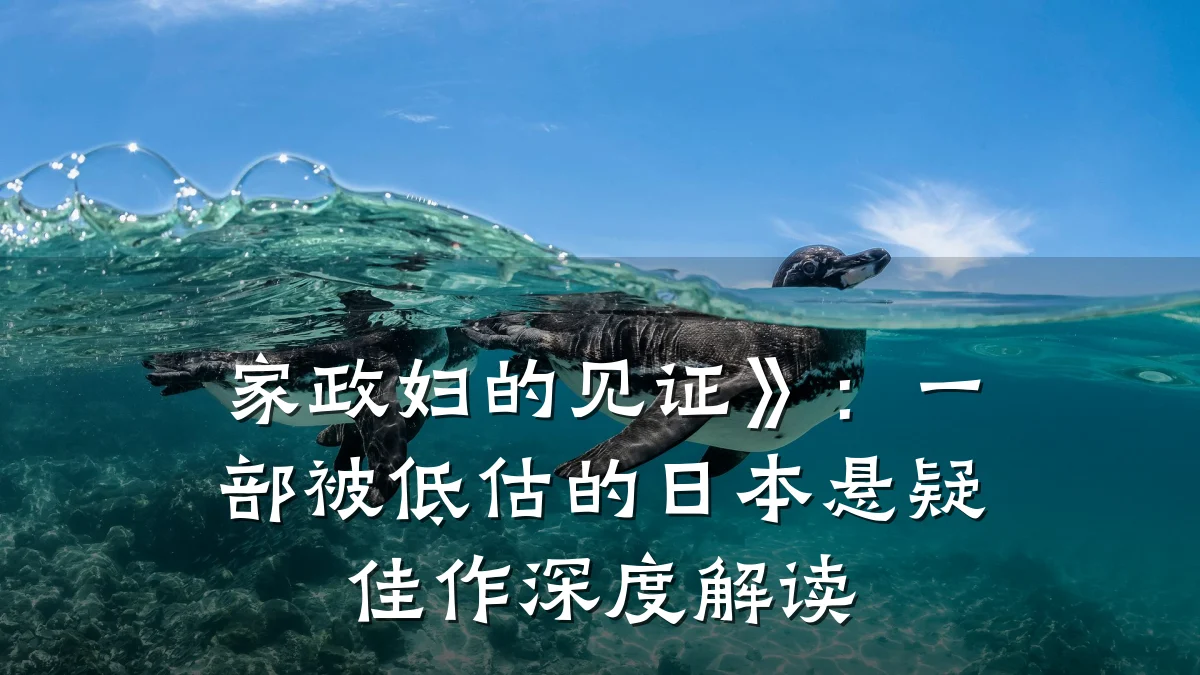 家政妇的见证》:一部被低估的日本悬疑佳作深度解读