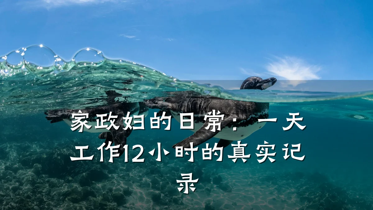 家政妇的日常：一天工作12小时的真实记录