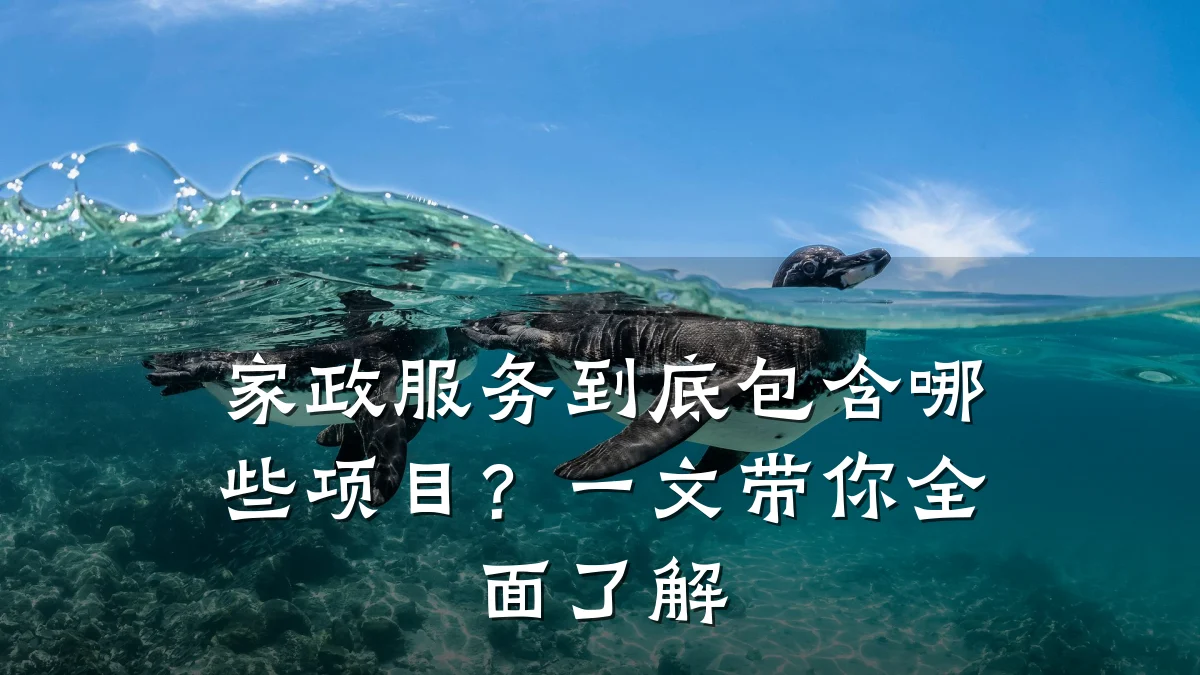 家政服务到底包含哪些项目?一文带你全面了解