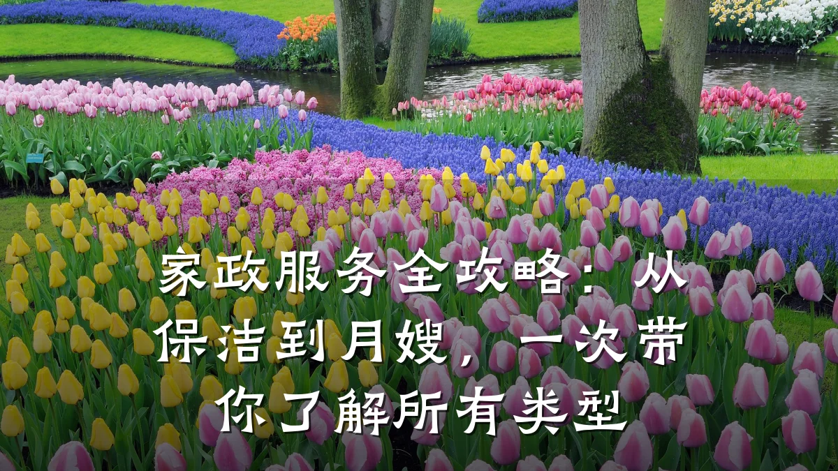 家政服务全攻略：从保洁到月嫂，一次带你了解所有类型