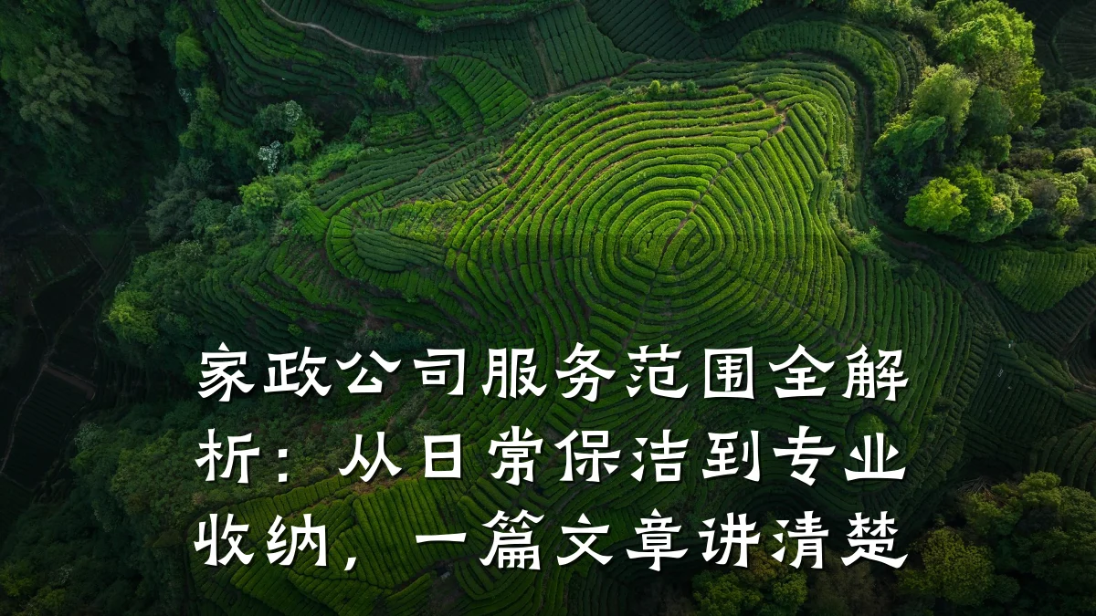 家政公司服务范围全解析：从日常保洁到专业收纳，一篇文章讲清楚