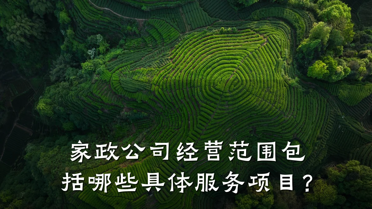 家政公司经营范围包括哪些具体服务项目?