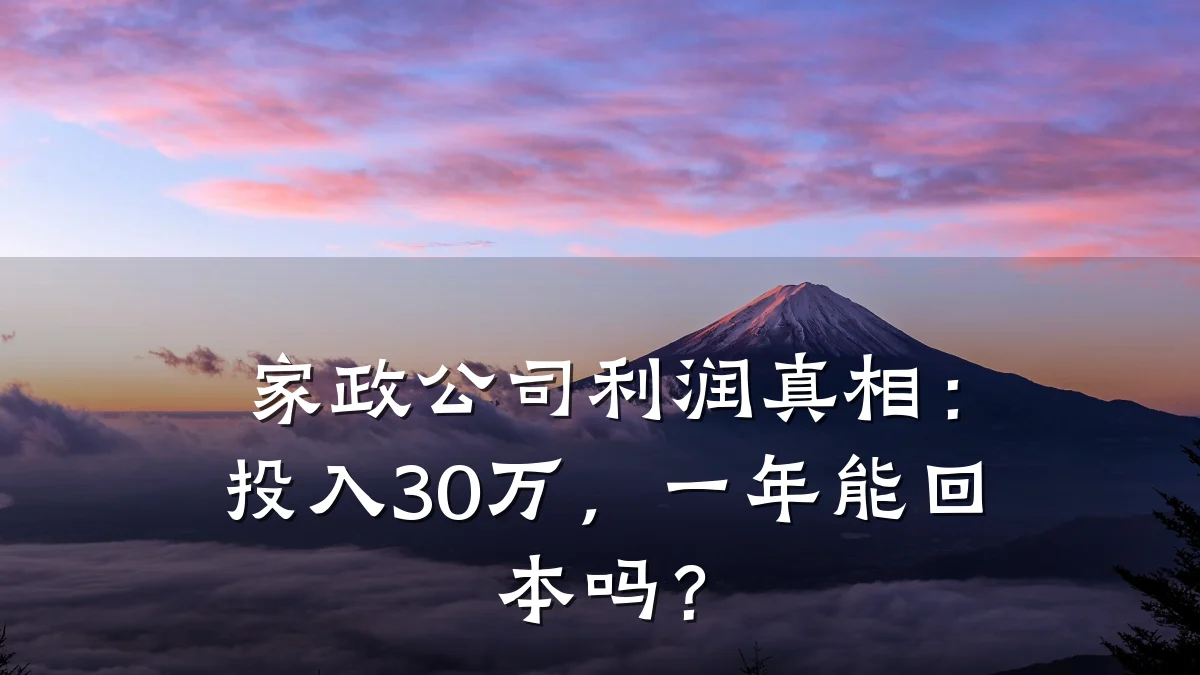 家政公司利润真相:投入30万,一年能回本吗?