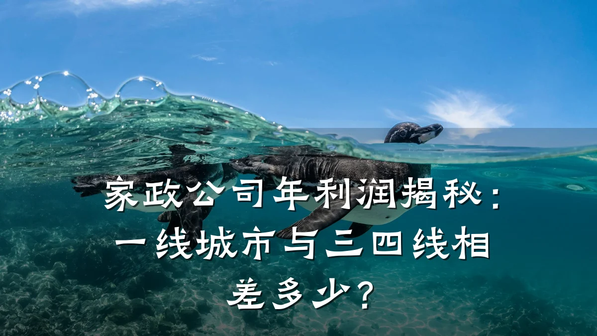家政公司年利润揭秘:一线城市与三四线相差多少?