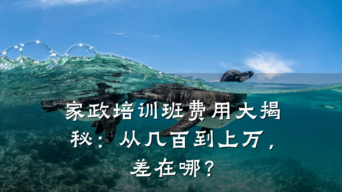 家政培训班费用大揭秘:从几百到上万,差在哪?