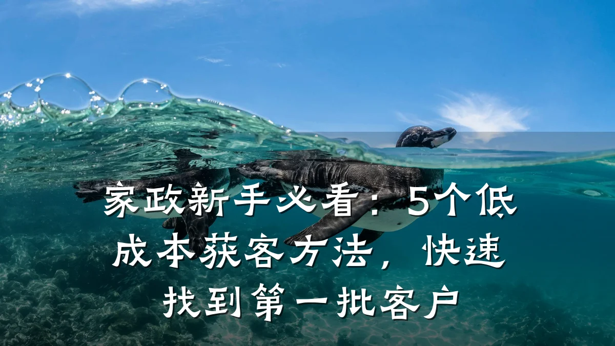 家政新手必看：5个低成本获客方法，快速找到第一批客户