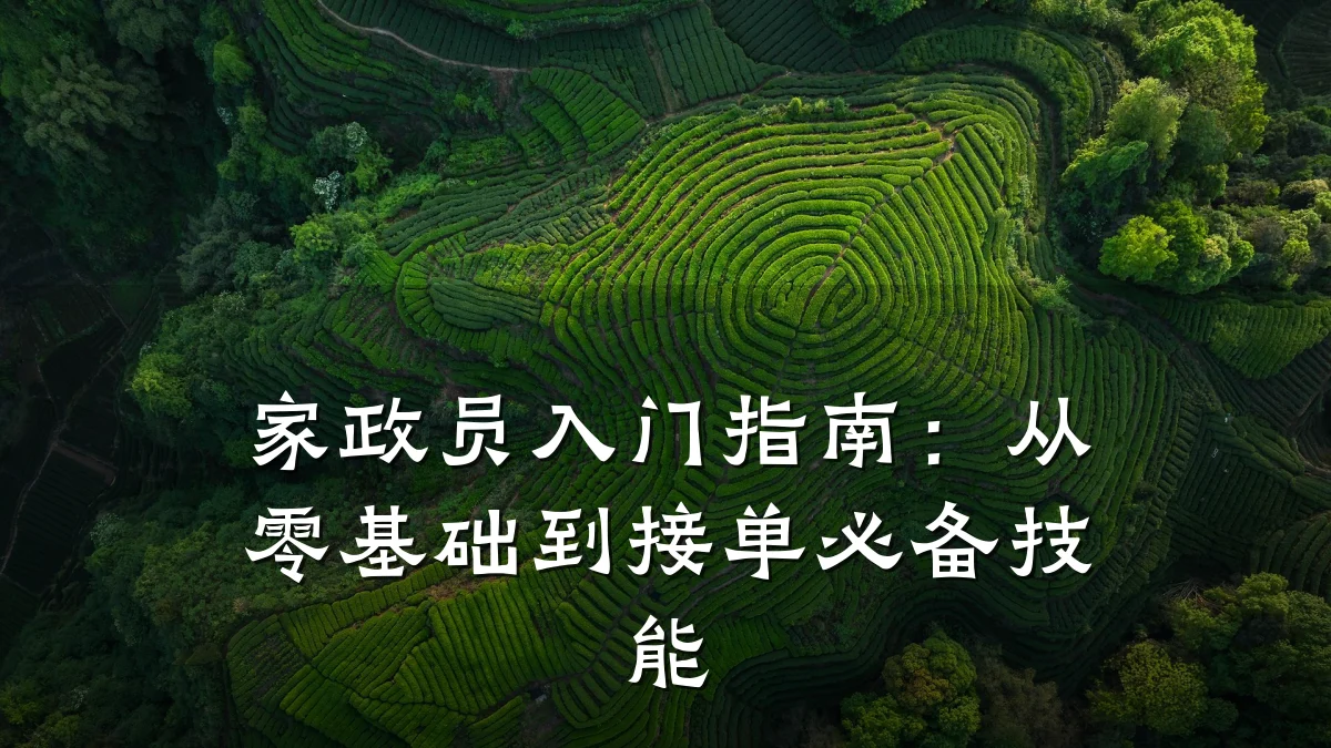 家政员入门指南:从零基础到接单必备技能