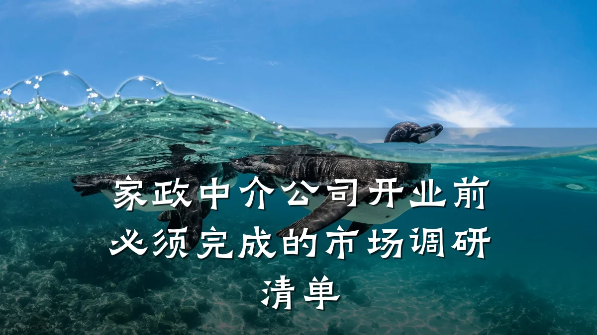 家政中介公司开业前必须完成的市场调研清单