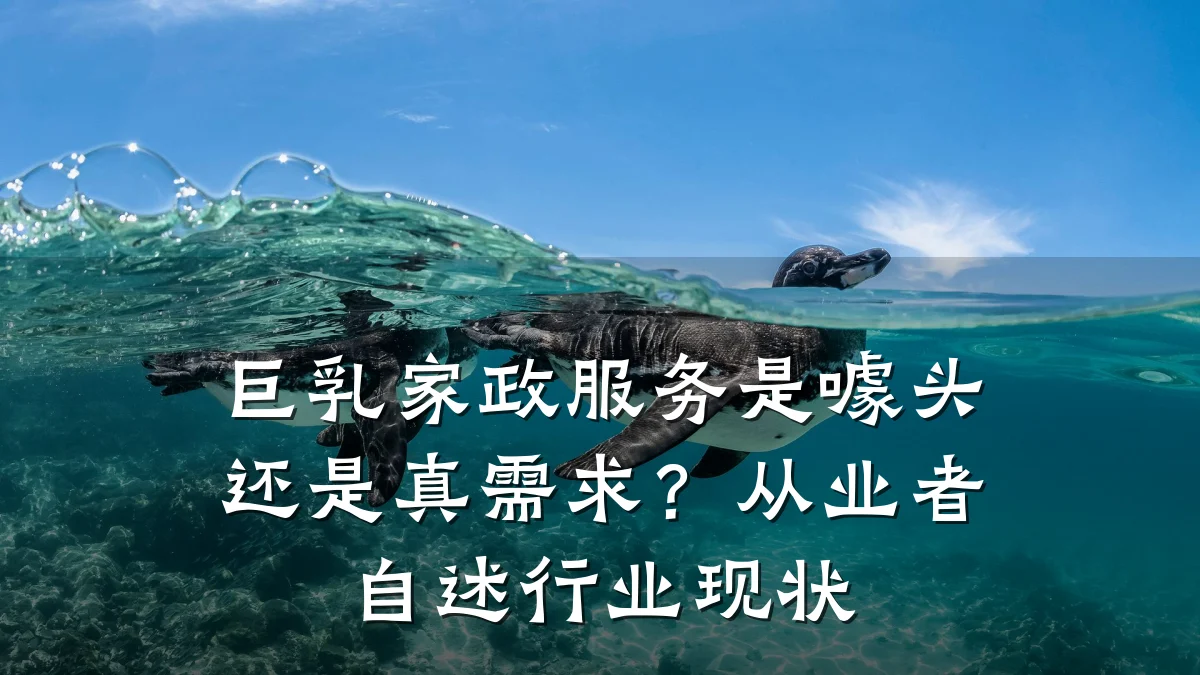 巨乳家政服务是噱头还是真需求？从业者自述行业现状