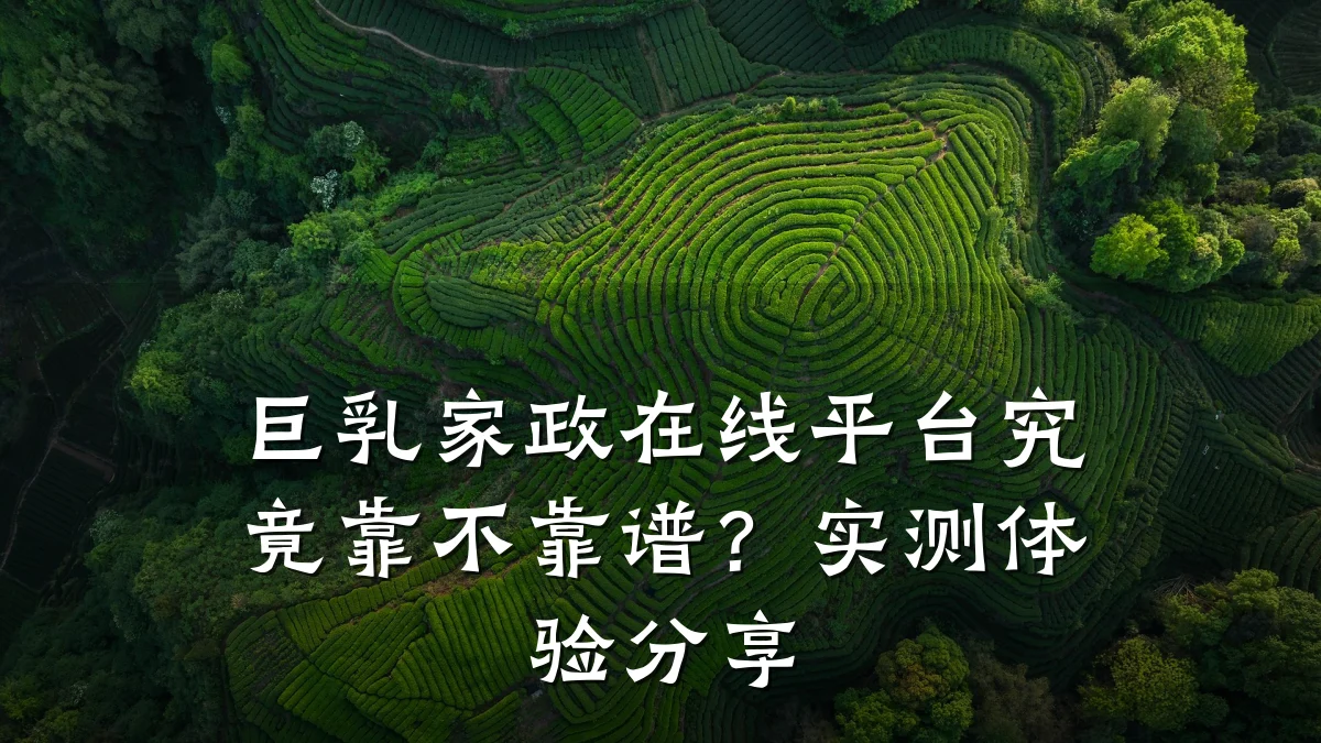 巨乳家政在线平台究竟靠不靠谱?实测体验分享