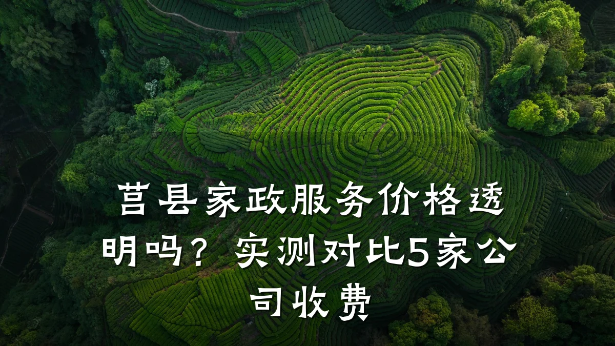 莒县家政服务价格透明吗?实测对比5家公司收费
