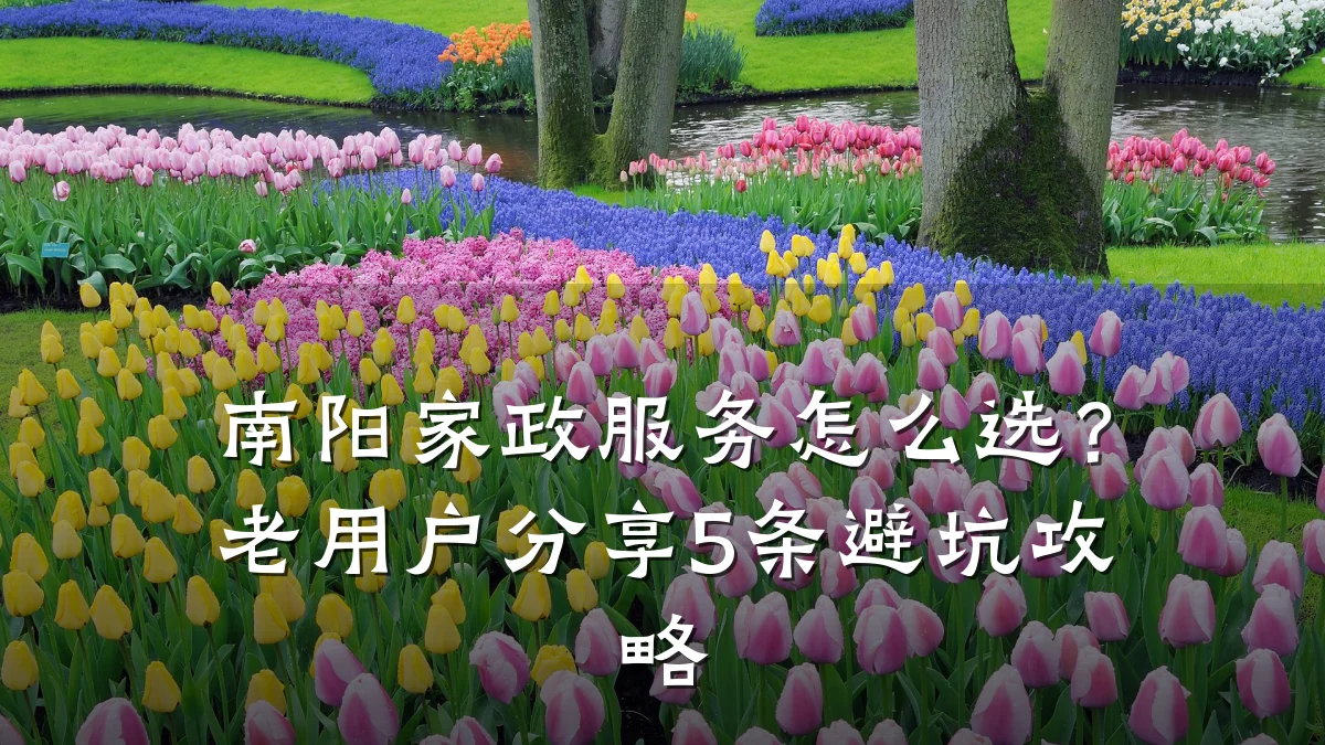 南阳家政服务怎么选?老用户分享5条避坑攻略