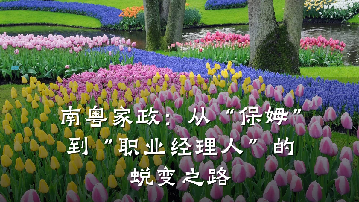 南粤家政：从“保姆”到“职业经理人”的蜕变之路