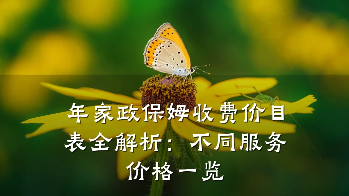 年家政保姆收费价目表全解析:不同服务价格一览