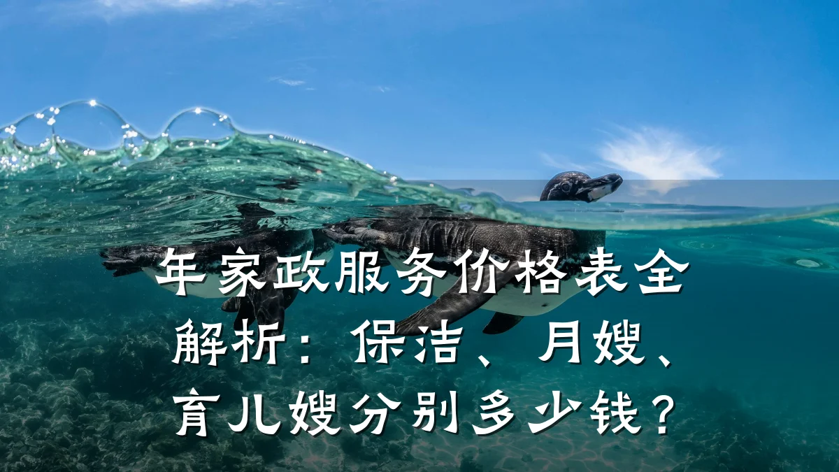 年家政服务价格表全解析:保洁、月嫂、育儿嫂分别多少钱?