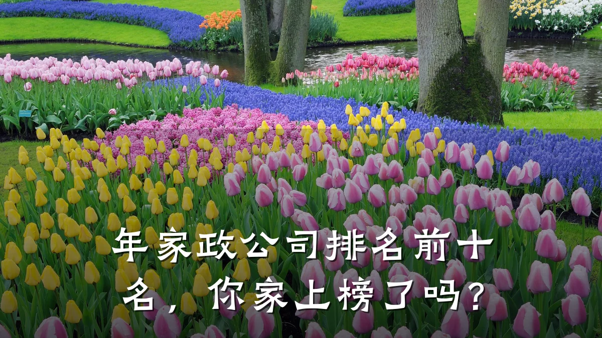 年家政公司排名前十名,你家上榜了吗?