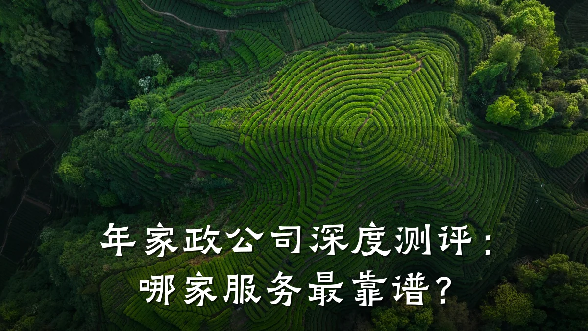 年家政公司深度测评：哪家服务最靠谱？