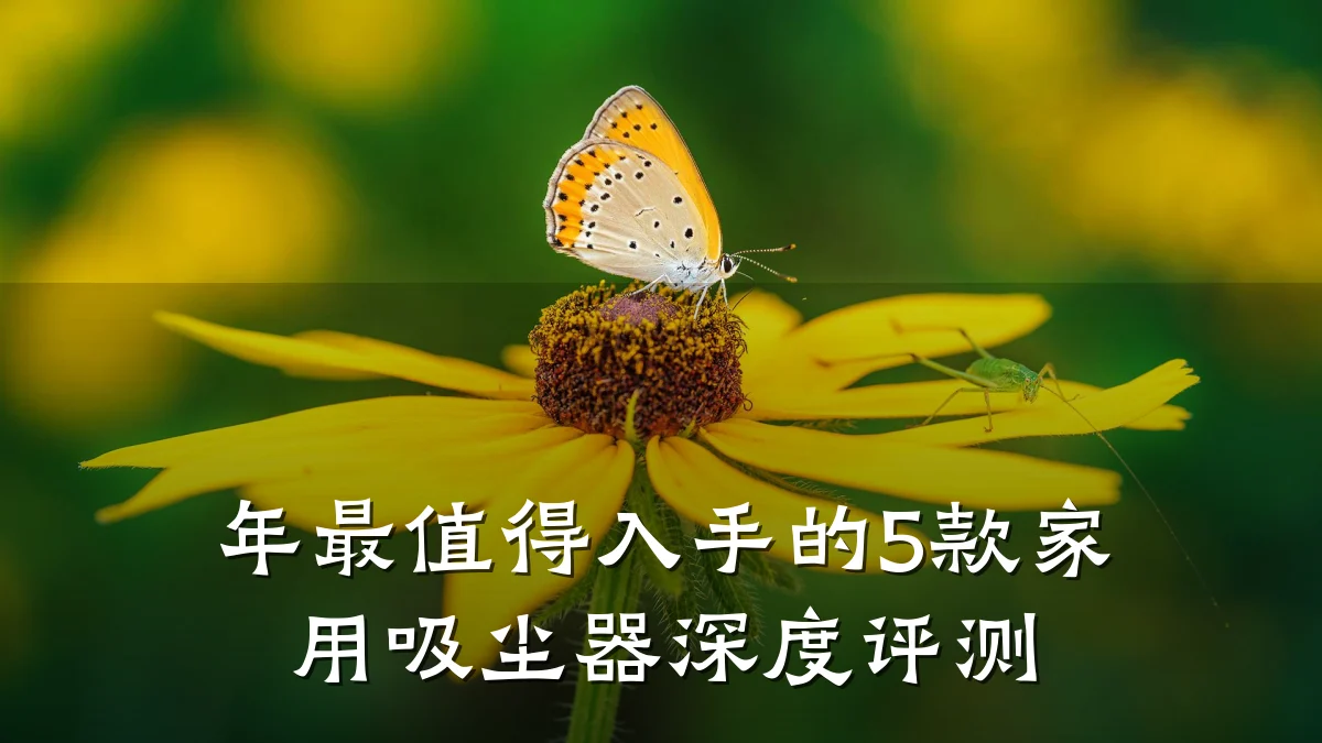 年最值得入手的5款家用吸尘器深度评测